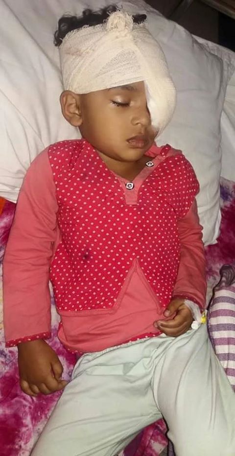 হৃদি